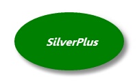 SilverPlusEllipse